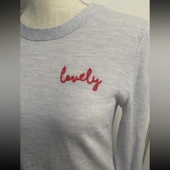 BANANA REPUBLIC Women's LOVELY Emb Sweater NWT Gray/Blue XS Washable Merino Wool - Picture 2 of 10